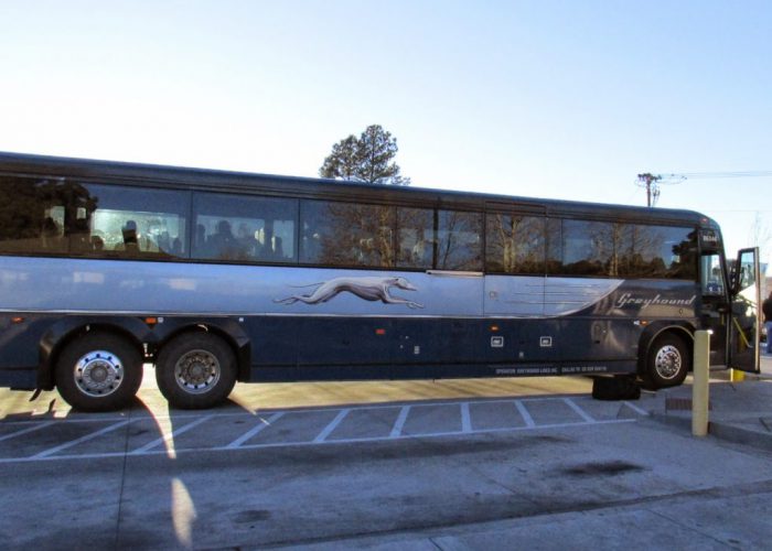 greyhound