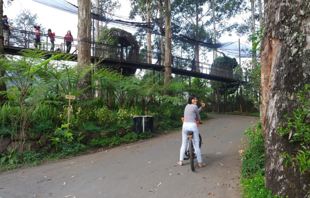 dusun bambu