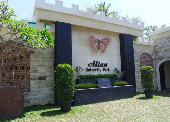 alian butterfly park