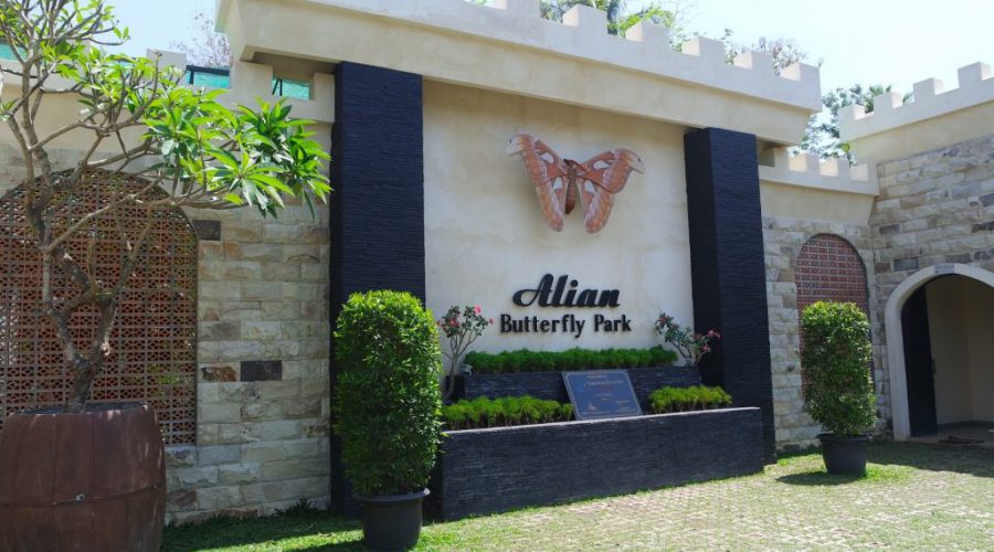 alian butterfly park