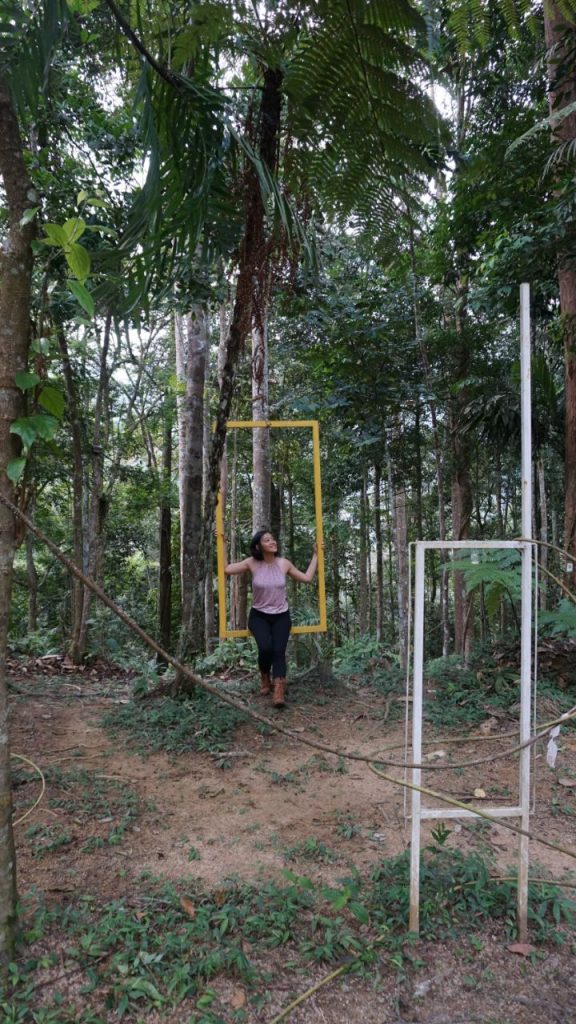 fashion forest