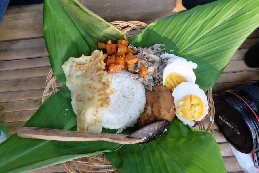 nasi jantung