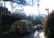 Eagle Camp Dusun Bambu