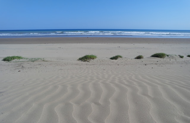 Pantai-Oetune