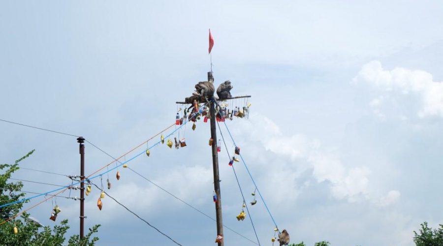 monyet-goa-kreo-semarang