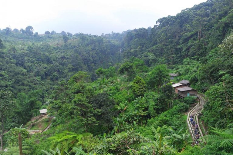 trek-curug-cigamea