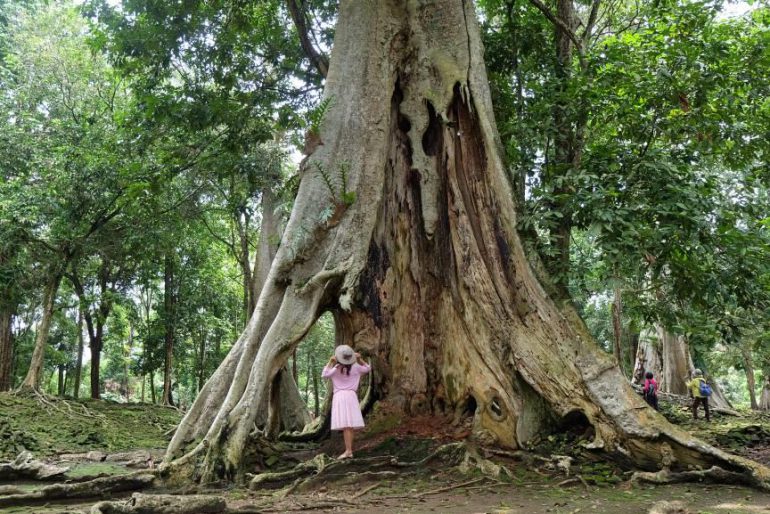 Wajah Candi Koto Mahligai Yang Tak Pernah Tampak — Travel Diary of