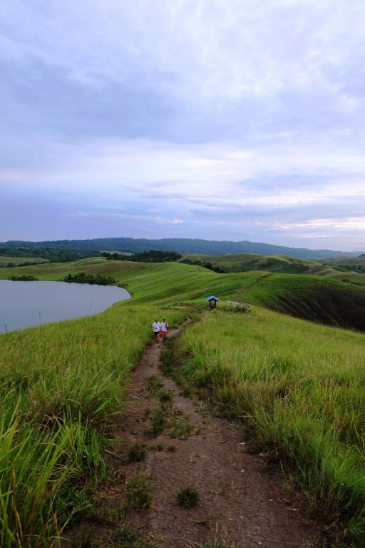 danau love