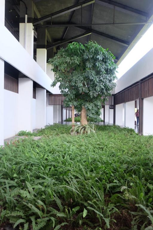 go green airport