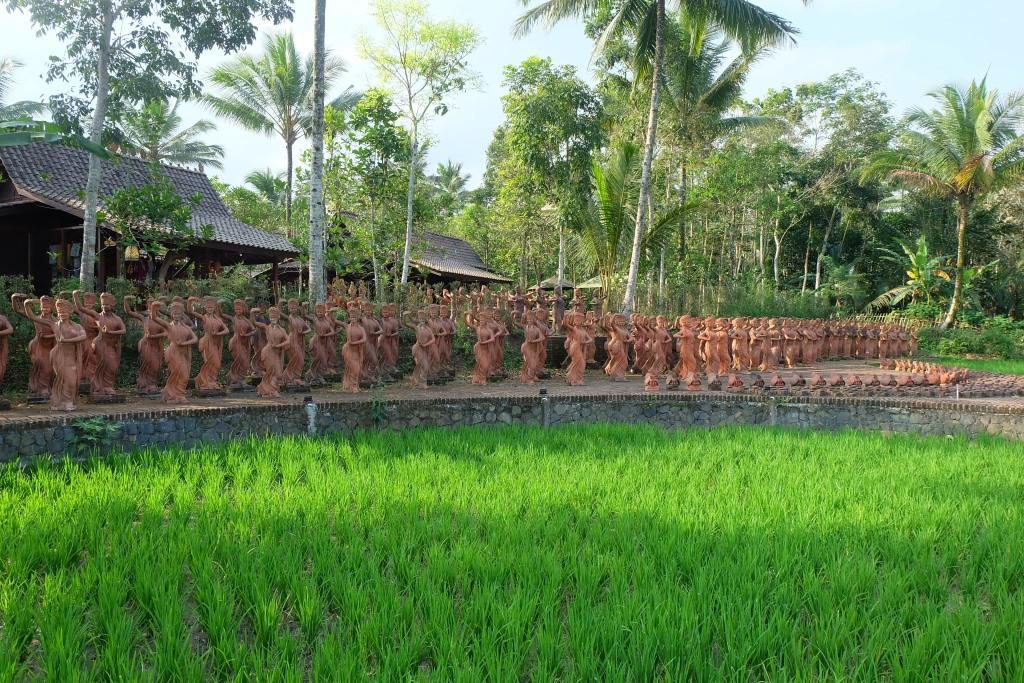 teraskota banyuwangi