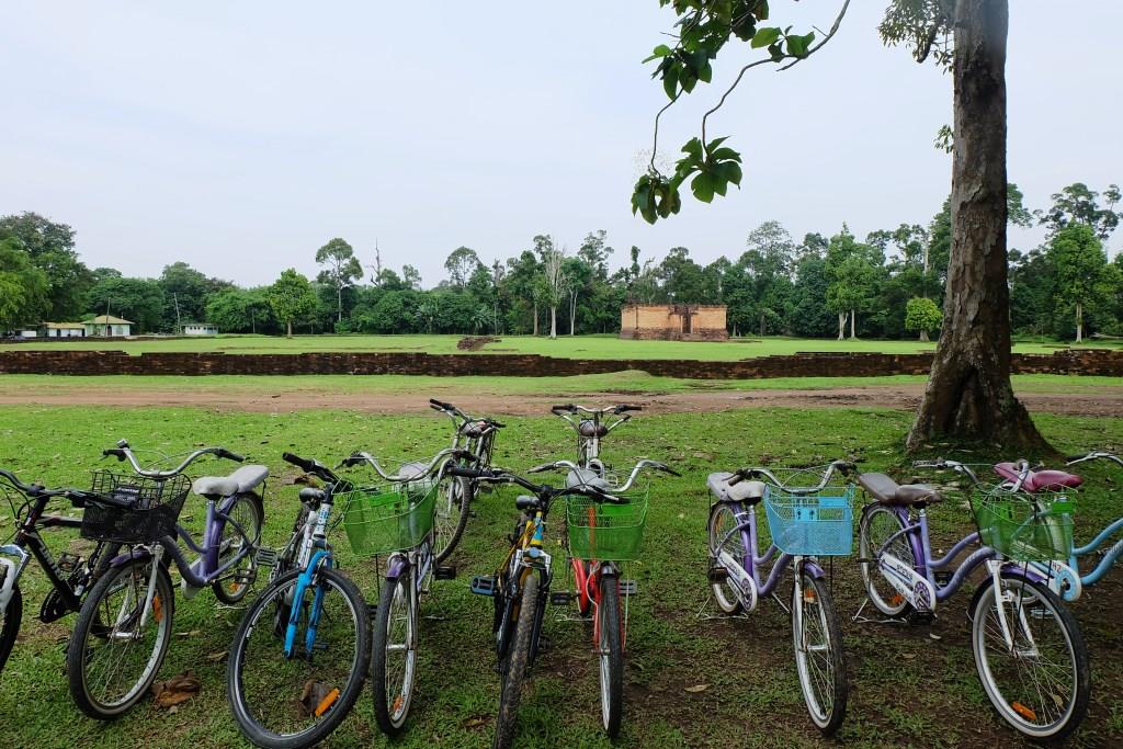 kawasan candi muaro jambi