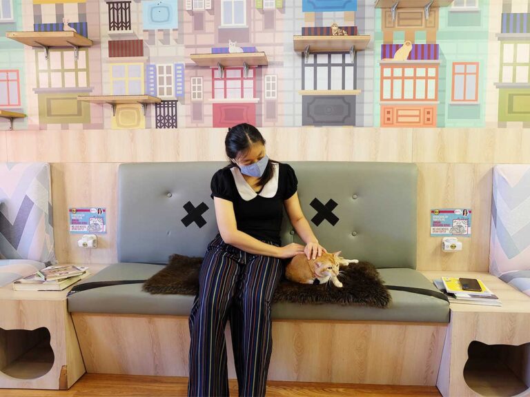 Kopi Cat : Cat Cafe Pertama di Bintaro — Travel Diary of Lenny Lim