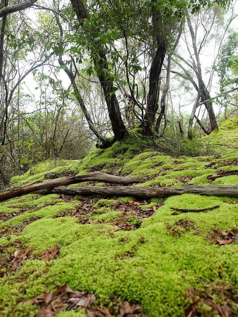Uniknya Gunung Lumut Belitung — Travel Diary of Lenny Lim