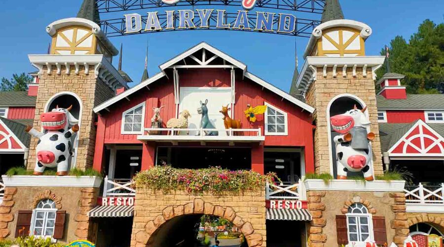 cimory dairyland