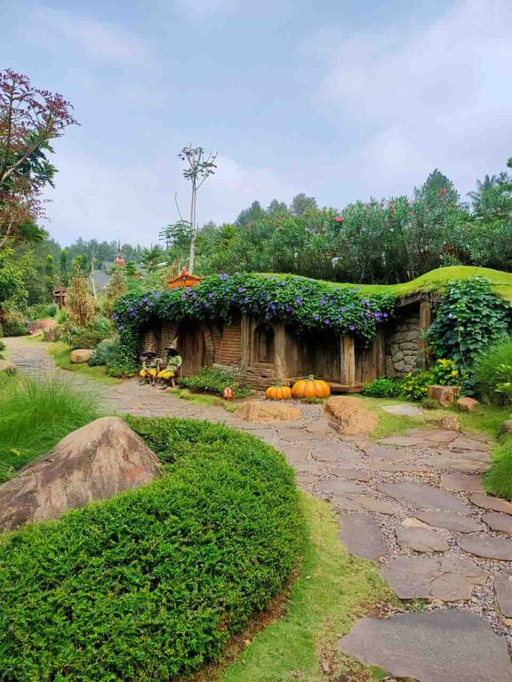 cimory puncak