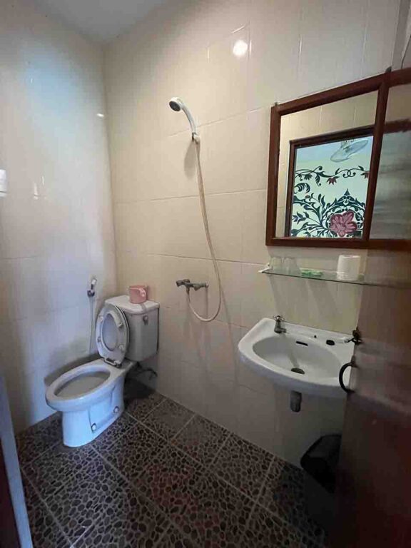 toilet